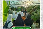  بازدید اعضای کانون دولت‌آباد از یک واحد پرورش گل و گیاه
