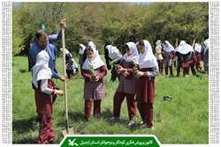 نهالستانی برای کودکان/ بخشی از پارک جنگلی فندقلوی نمین به کانون اردبیل اختصاص یافت