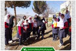 طرح درختکاری «سفیران سبز» در کانون شهرستان انگوت اجرا شد