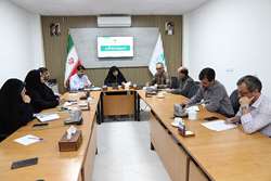 نظام‌نامه فعالیت‌های تابستانی در شورای فرهنگی کانون اردبیل بررسی شد