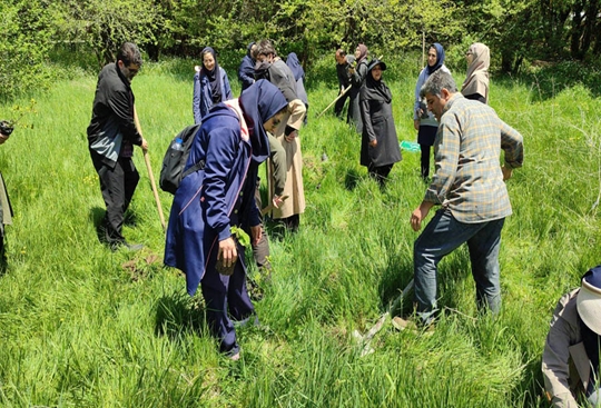 قاب‌های ماندگار از کاشت نهال در دل جنگل فندقلو نمین